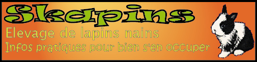 SITE DE LAPINS